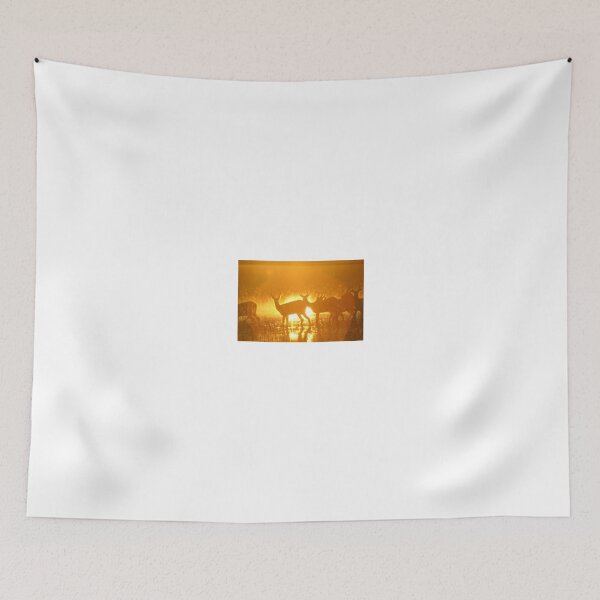 Item preview, Orange  dawn designed and sold by Anthony Goldman.