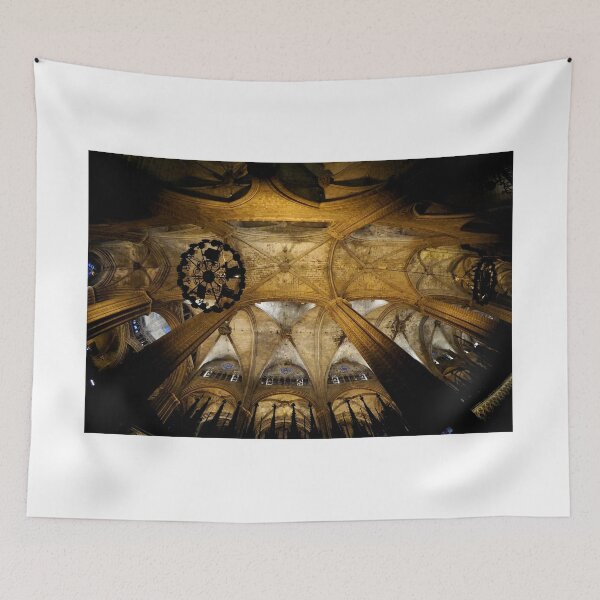 Item preview, Looking UP within the Barcelona Catedral designed and sold by fototaker Tony.