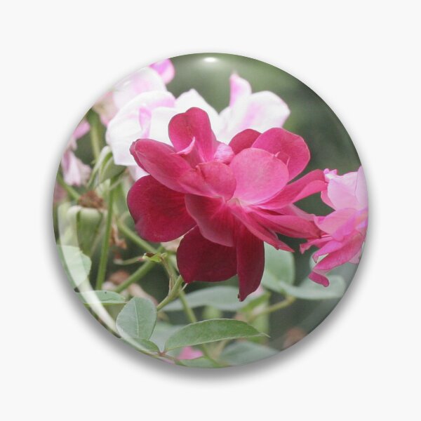 Item preview, Rose Garden with a Bee designed and sold by STHogan.