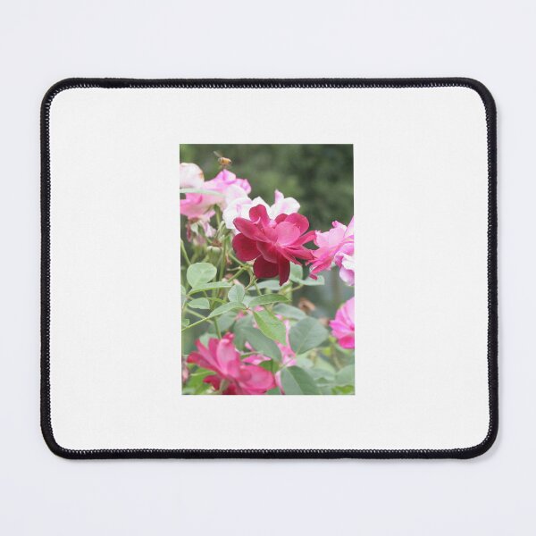 Item preview, Rose Garden with a Bee designed and sold by STHogan.