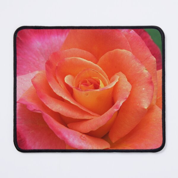 Item preview, Rose designed and sold by STHogan.