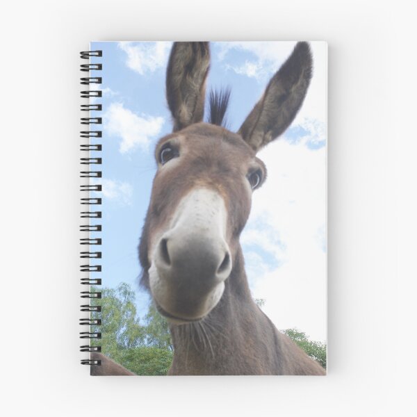 Item preview, Why the long face? designed and sold by ArtbyBodge.