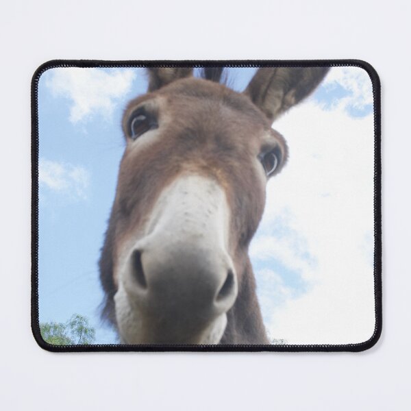 Item preview, Why the long face? designed and sold by ArtbyBodge.