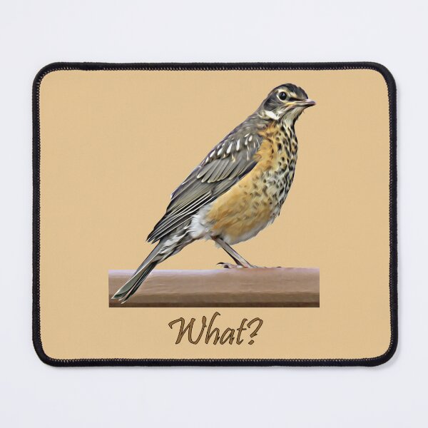 Item preview, What? Robin designed and sold by MaryLinH.