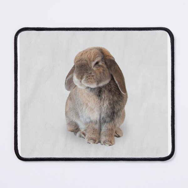 Item preview, Calico bunny designed and sold by EyeOTBeholder.