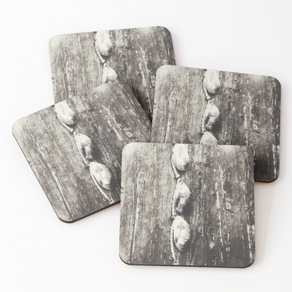 Item preview, B&@ Chilean Blue Mussels designed and sold by Michelle Belden.