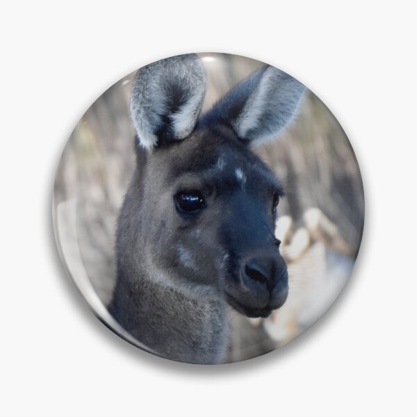 Item preview, Kangaroo Yallingup WA 140323 designed and sold by Rainbow Farm Photography.