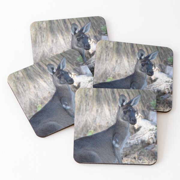 Item preview, Kangaroo Yallingup WA 140323 designed and sold by Rainbow Farm Photography.