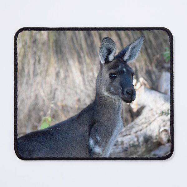 Item preview, Kangaroo Yallingup WA 140323 designed and sold by Rainbow Farm Photography.