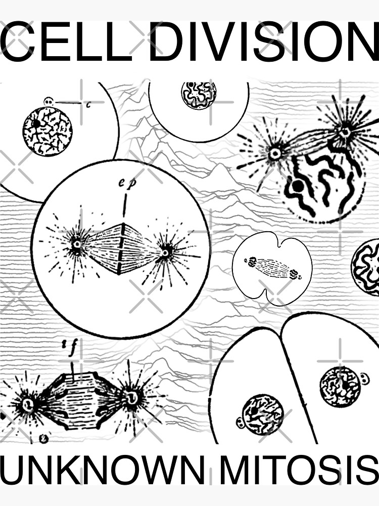 Cell Division Mitosis Biology Parody
