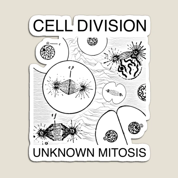 Cell Division Mitosis Biology Parody