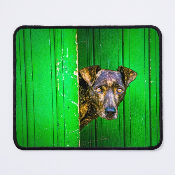 Item preview, Green dog designed and sold by PhotographicAl.