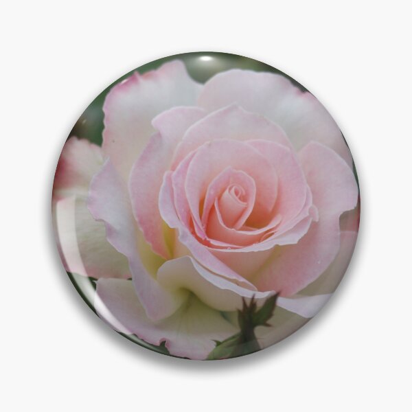 Item preview, Pink Rose with Buds designed and sold by STHogan.