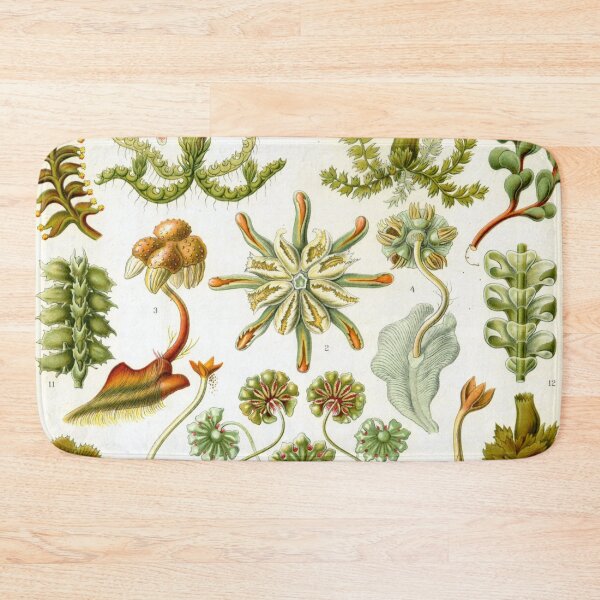 Item preview, Botanicals designed and sold by Ashleigh Bell.