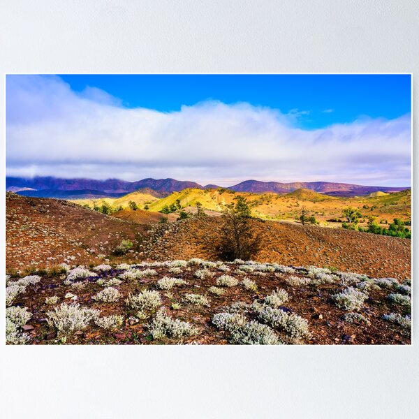 Item preview, Wilpena Pound under clouds designed and sold by Jan Fijolek.
