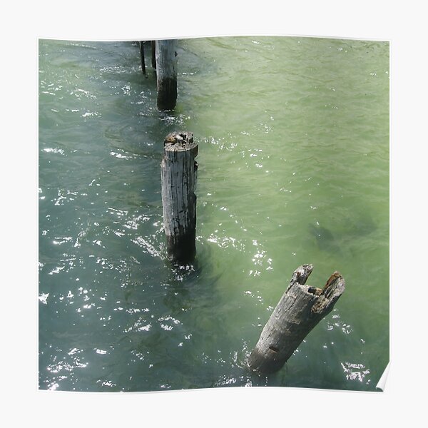 Old wooden piles sticking out of sea water Poster