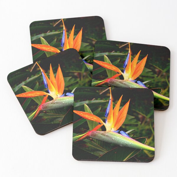Item preview, Bird of Paradise in Paradise designed and sold by vernonplatt.