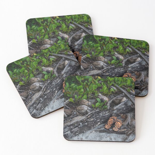 Item preview, Tropical Beach Thongs designed and sold by Kate Powick.