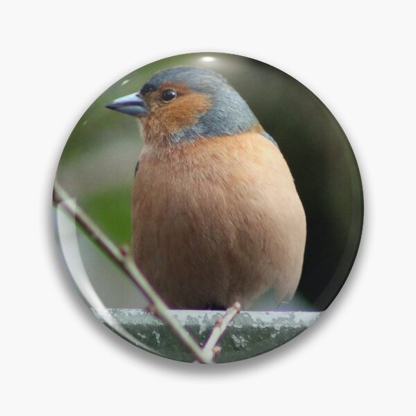 Item preview, chaffinch designed and sold by KathleenDawson.