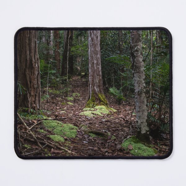 Item preview, Queensland Forest Light designed and sold by Kate Powick.