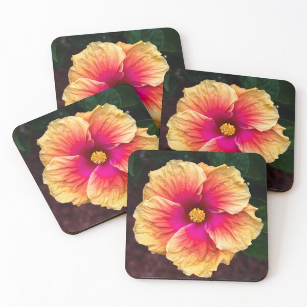 Item preview, Hibiscus, Queensland designed and sold by Kate Powick.