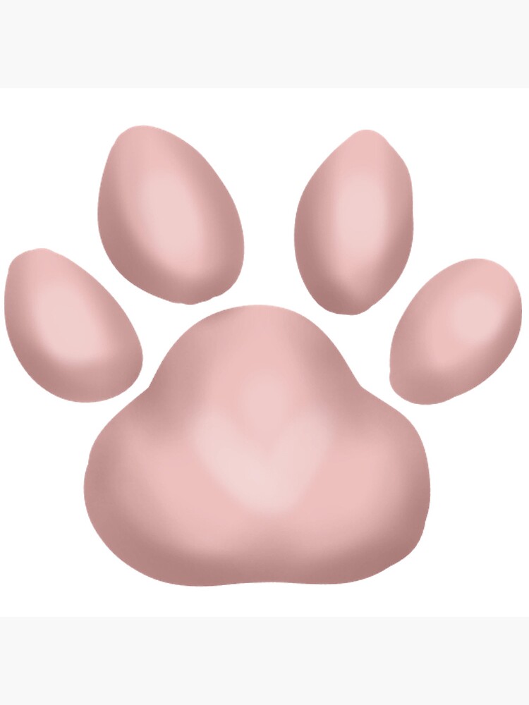 Cat Paws Pink Animal Pet Cat Paw Dog Paw Cute Pink Toe Beans