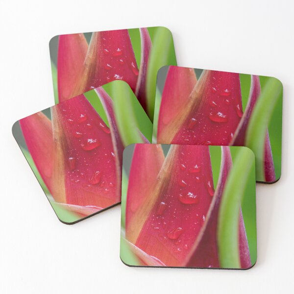 Item preview, Tropical Flower, Queensland, Australia designed and sold by Kate Powick.