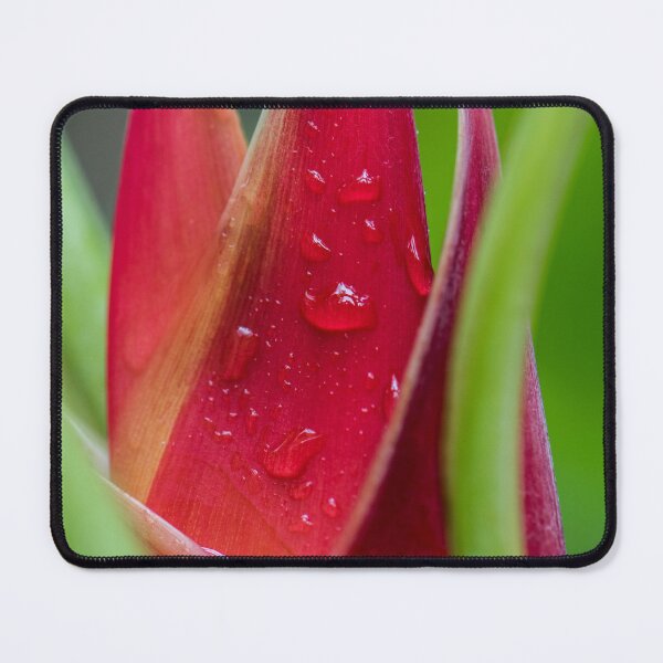 Item preview, Tropical Flower, Queensland, Australia designed and sold by Kate Powick.