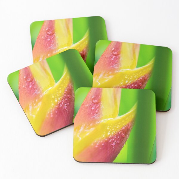 Item preview, Tropical Flower 2, Port Douglas, Queensland designed and sold by Kate Powick.