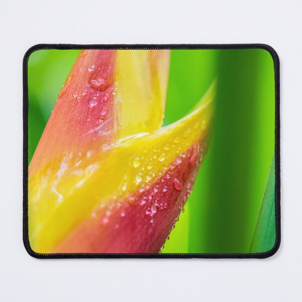 Item preview, Tropical Flower 2, Port Douglas, Queensland designed and sold by Kate Powick.