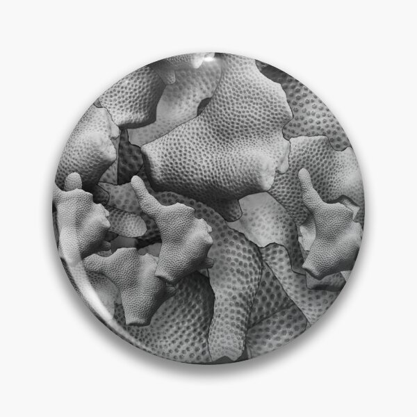 Item preview, She Sells Sea Shells  designed and sold by Dreamscape Eclectic .