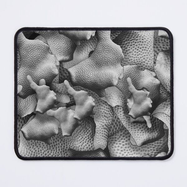 Item preview, She Sells Sea Shells  designed and sold by Dreamscape Eclectic .