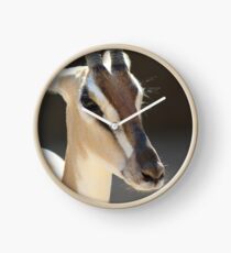 Gazelle from the San Diego Zoo Clock