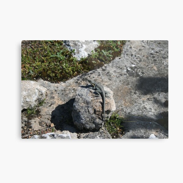 Item preview, Camouflaged. designed and sold by elphonline.
