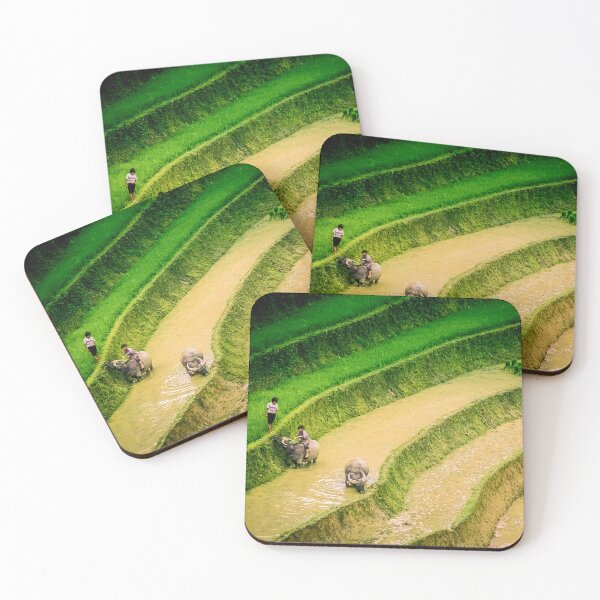 Item preview, In the fields designed and sold by PhotographicAl.