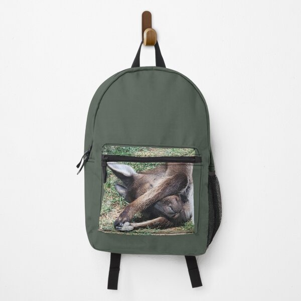 Item preview, Cuteness Overload Kangaroo at Ballarat Wildlife Park designed and sold by Michael Voyler.