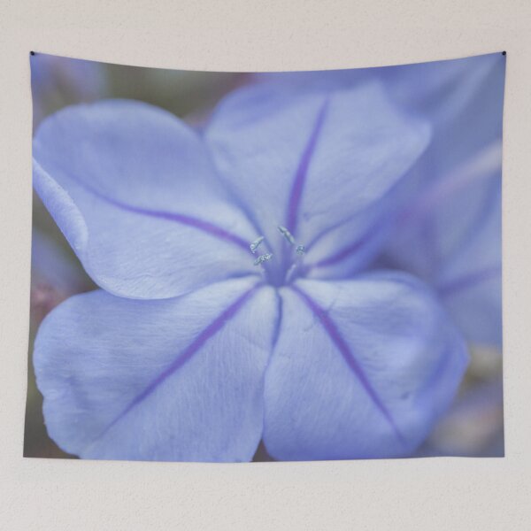 Aperçu de l'œuvre Beautiful Delicate Blue Flower Macro Photo V2 créée et vendue par Family Journey with God.