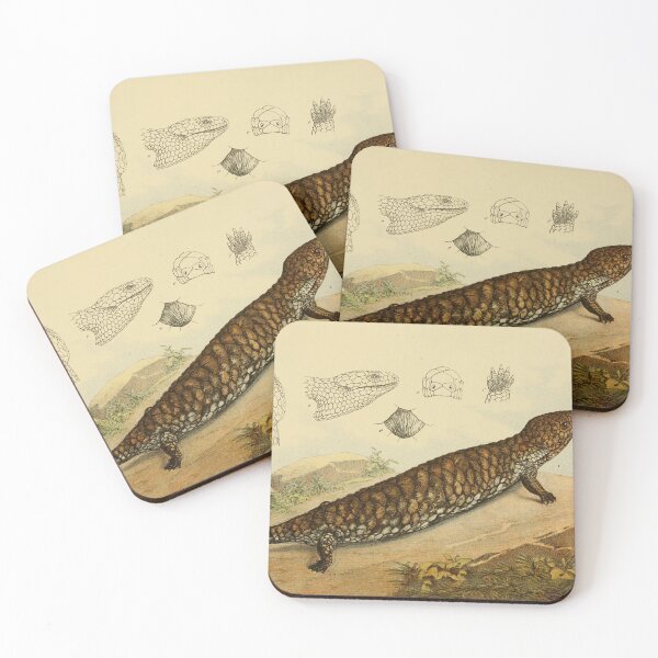 Item preview, Shingle Back Lizard designed and sold by ptMaker.
