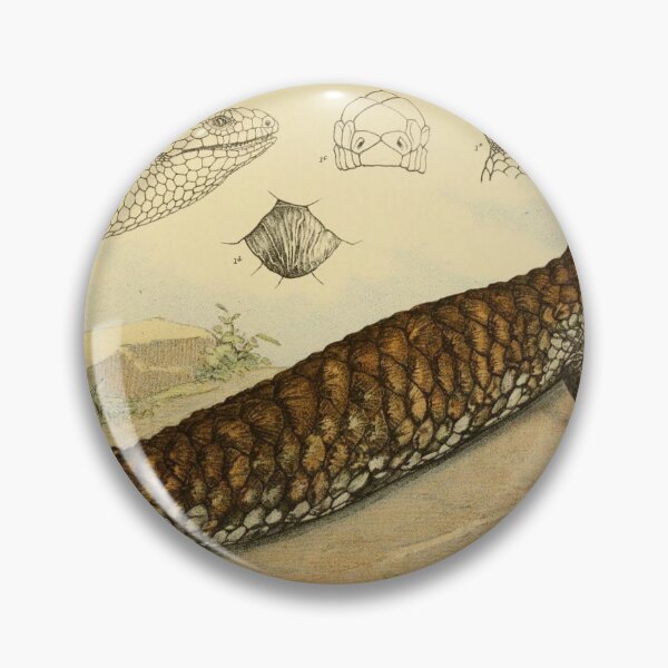 Item preview, Shingle Back Lizard designed and sold by ptMaker.