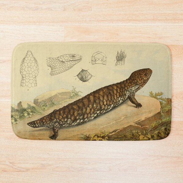 Item preview, Shingle Back Lizard designed and sold by ptMaker.