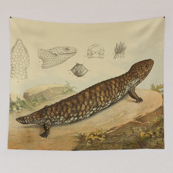 Item preview, Shingle Back Lizard designed and sold by ptMaker.