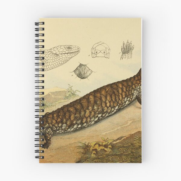 Item preview, Shingle Back Lizard designed and sold by ptMaker.