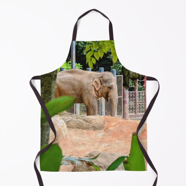 Artikelvorschau, Stunning Sumatran Elephant at Melbourne Zoo entworfen und verkauft von Michael Voyler.