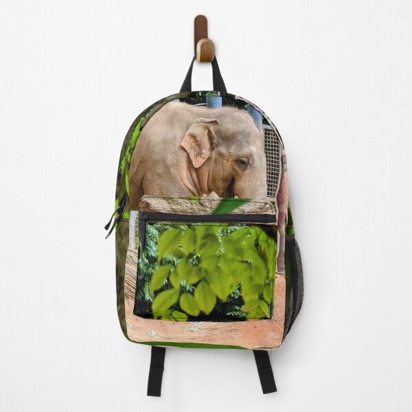Item preview, Stunning Sumatran Elephant at Melbourne Zoo designed and sold by Michael Voyler.