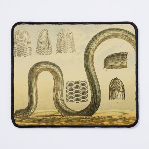 Item preview, The Blackish Australian Worm Snake designed and sold by ptMaker.