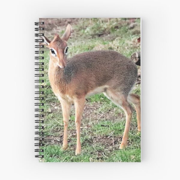 Item preview, Dik Dik designed and sold by Ladymoose.