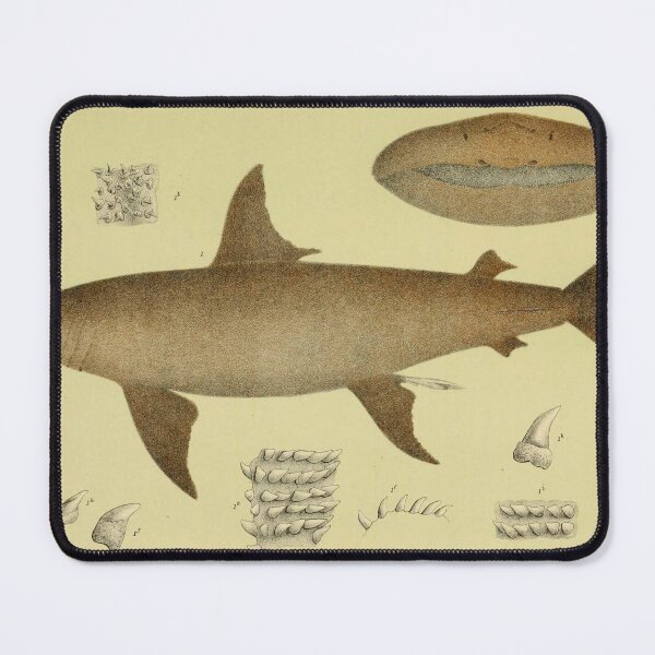 Item preview, The Basking Shark designed and sold by ptMaker.