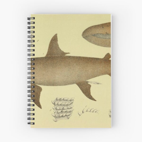 Item preview, The Basking Shark designed and sold by ptMaker.