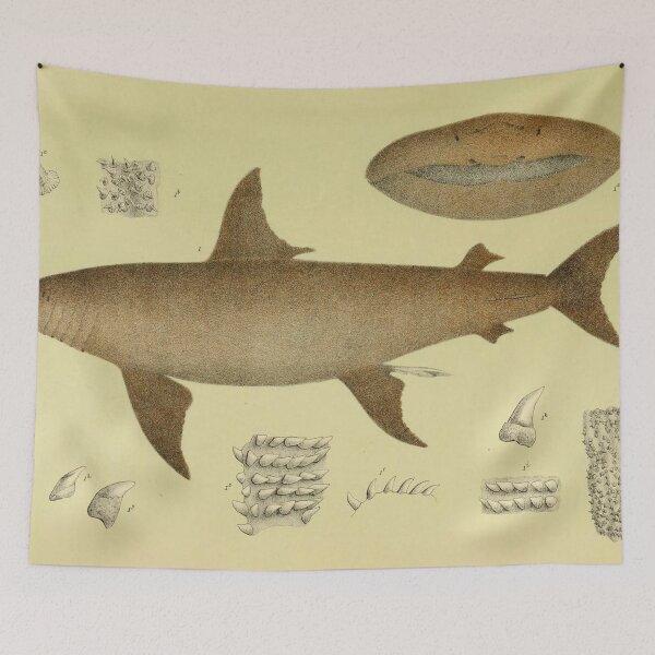 Item preview, The Basking Shark designed and sold by ptMaker.