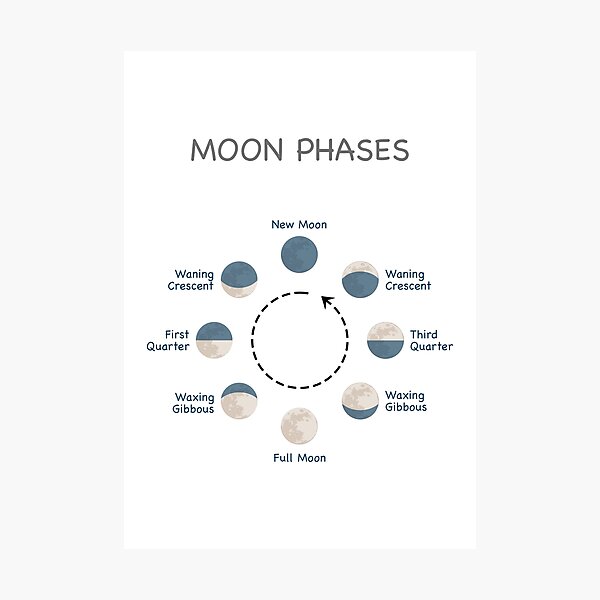 Item preview, Science Educational - Moon Phases designed and sold by Graham Baitson.